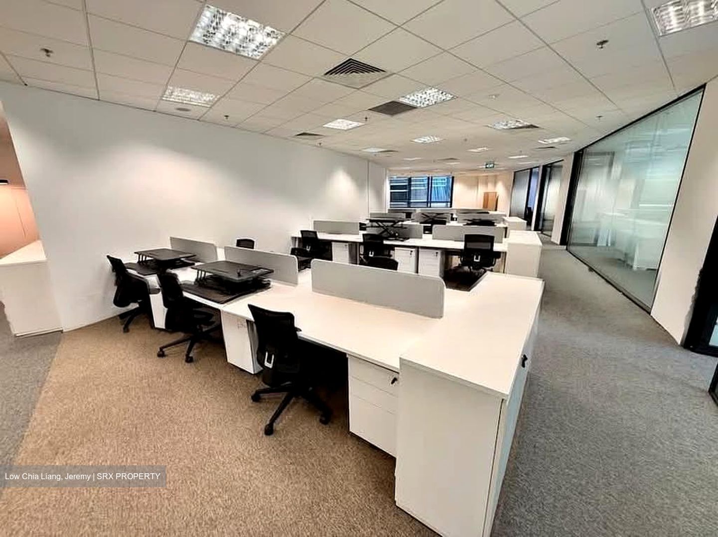 PLUS (D1), Office #599081371